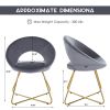 Modern Accent Velvet Chair, Set of 2
