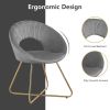 Modern Accent Velvet Chair, Set of 2