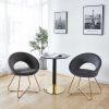 Modern Accent Velvet Chair, Set of 2